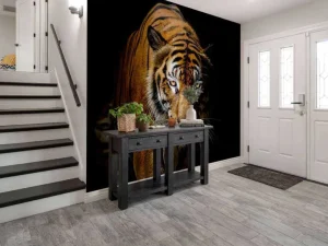 New Tijger met een zwarte achtergrond fotobehang Dieren