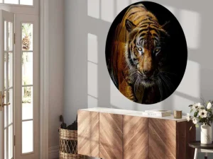 New Tijger met een zwarte achtergrond fotobehang Dieren