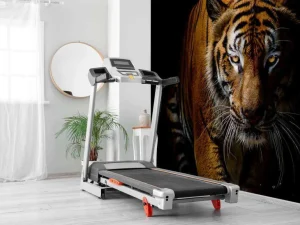 New Tijger met een zwarte achtergrond fotobehang Dieren