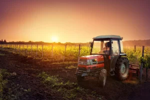 Sale Tractor bij zonsondergang fotobehang Kinderkamer | Transport