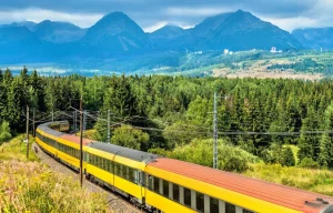 Online Trein door een bos in Slowakije fotobehang Transport