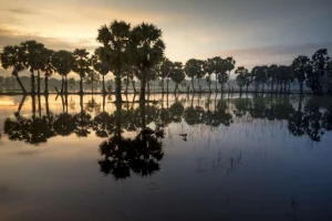 Hot Tropisch landschap in Vietnam fotobehang Bloemen