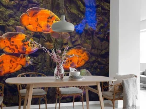 Online Tropische vissen en algen fotobehang Dieren