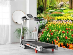 Clearance Tulpencreaties in een park fotobehang Steden | Architectuur