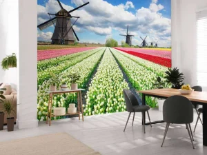 Outlet Tulpenveld onder een bewolkte hemel fotobehang Steden | Architectuur