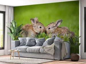 Hot Twee baby haasjes in het gras fotobehang Babykamer | Dieren
