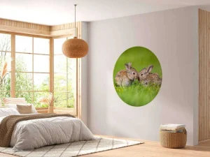 Hot Twee baby haasjes in het gras fotobehang Babykamer | Dieren