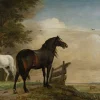 Outlet Twee paarden in de weide bij een hek fotobehang Kunst & Design | Dieren