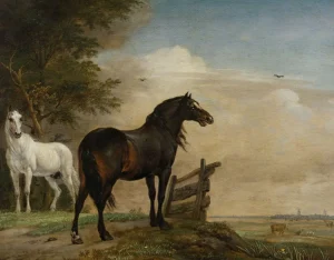 Outlet Twee paarden in de weide bij een hek fotobehang Kunst & Design | Dieren
