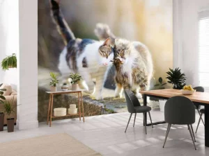 Fashion Twee schattige katjes fotobehang Kinderkamer | Dieren