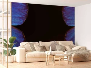 Fashion Twee vlinders met een zwarte achtergrond fotobehang Dieren