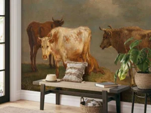 Best Vier jonge stieren in de wei fotobehang Kunst & Design | Dieren