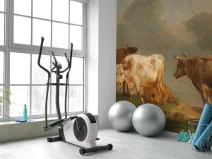 Best Vier jonge stieren in de wei fotobehang Kunst & Design | Dieren
