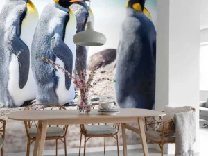 Sale Vier pinguïns verkennen de Noordpool fotobehang Tienerkamer | Dieren
