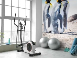 Sale Vier pinguïns verkennen de Noordpool fotobehang Tienerkamer | Dieren