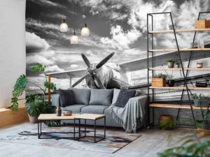 Discount Vintage vliegtuig onder een bewolkte hemel fotobehang Transport