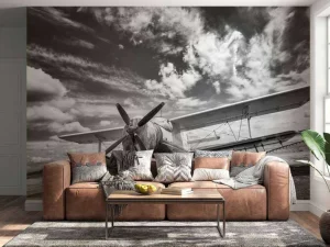 Discount Vintage vliegtuig onder een bewolkte hemel fotobehang Transport