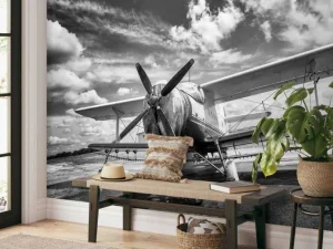Discount Vintage vliegtuig onder een bewolkte hemel fotobehang Transport