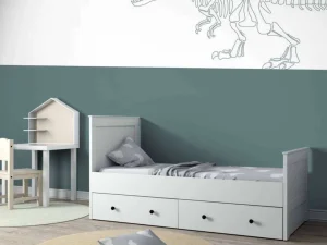 Best Vlakken met dino Kinderkamer | Dieren
