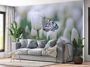 New Vlinder op een witte tulp fotobehang Dieren | Bloemen