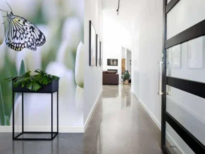 New Vlinder op een witte tulp fotobehang Dieren | Bloemen