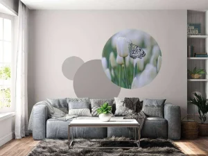 New Vlinder op een witte tulp fotobehang Dieren | Bloemen