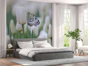 New Vlinder op een witte tulp fotobehang Dieren | Bloemen
