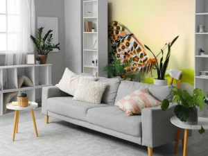 Online Vlinder op Plant fotobehang Dieren