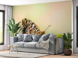 Online Vlinder op Plant fotobehang Dieren