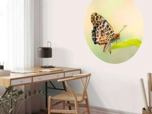 Online Vlinder op Plant fotobehang Dieren
