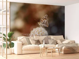 Outlet Vlinder op witte bloem fotobehang Dieren | Bloemen