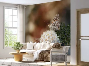 Outlet Vlinder op witte bloem fotobehang Dieren | Bloemen
