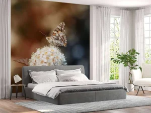 Outlet Vlinder op witte bloem fotobehang Dieren | Bloemen