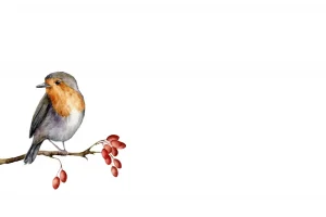 Clearance Vogeltje op een takje met een witte achtergrond fotobehang Hobbykamer | Gang