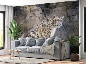 Discount Volwassen sneeuwluipaard op een rots fotobehang Dieren
