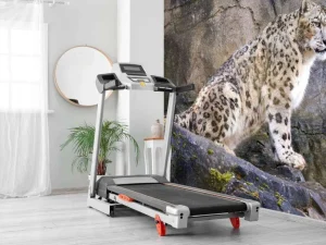 Discount Volwassen sneeuwluipaard op een rots fotobehang Dieren