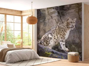 Discount Volwassen sneeuwluipaard op een rots fotobehang Dieren