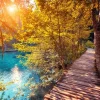 Sale Wandeling door de jungle fotobehang Bloemen