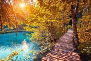 Sale Wandeling door de jungle fotobehang Bloemen