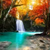 Clearance Waterval in het diepe woud fotobehang Bloemen