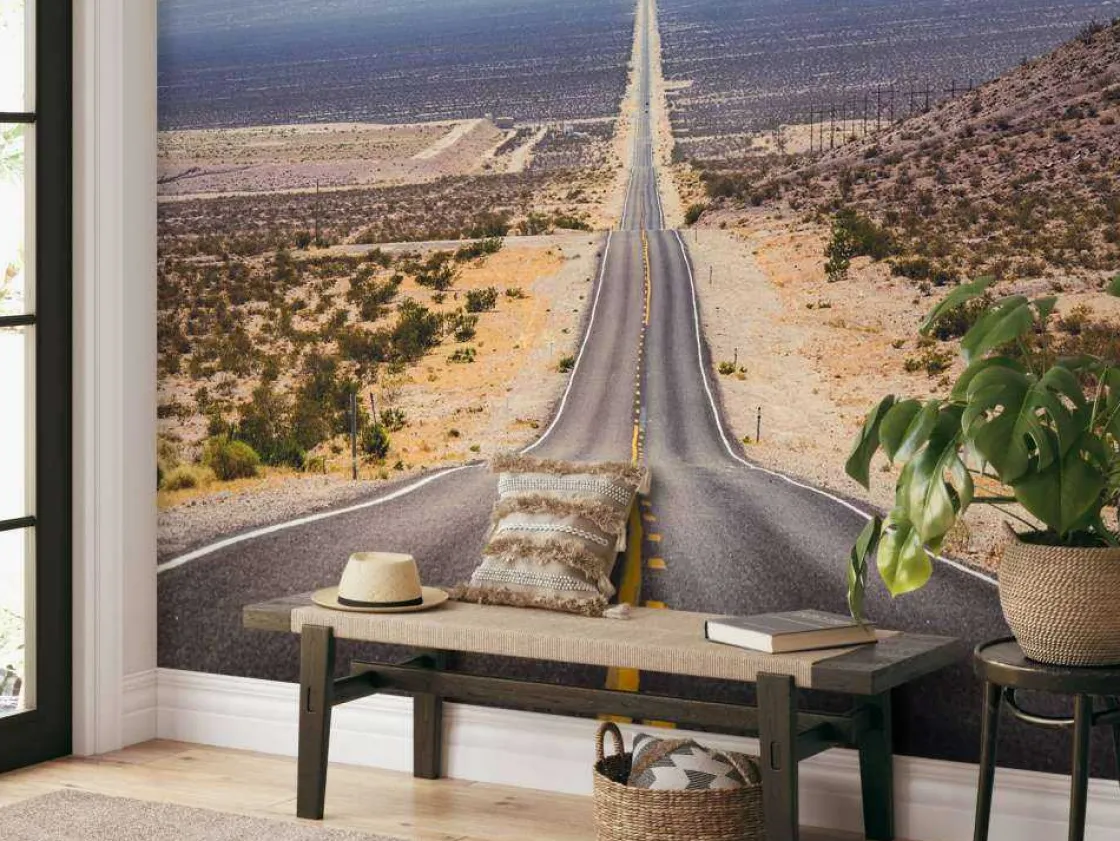 weg_door_een_amerikaanse__4.webp Hot Weg door een Amerikaanse woestijn fotobehang 3d