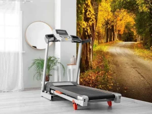 Clearance Weg met Bomen in de Herfst fotobehang Bloemen | 3d