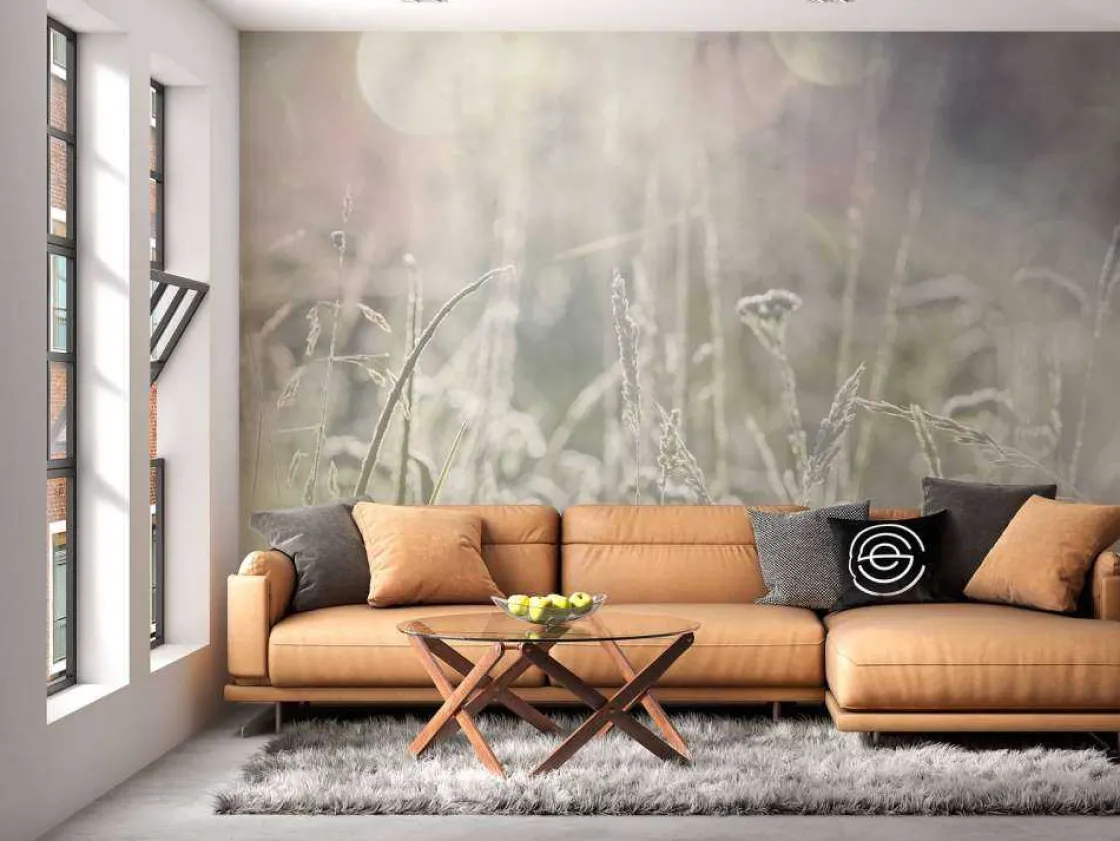weide_planten_in_de_zon_m_10.webp Clearance Weide planten in de zon met een wazige achtergrond fotobehang Slaapkamer | Bloemen