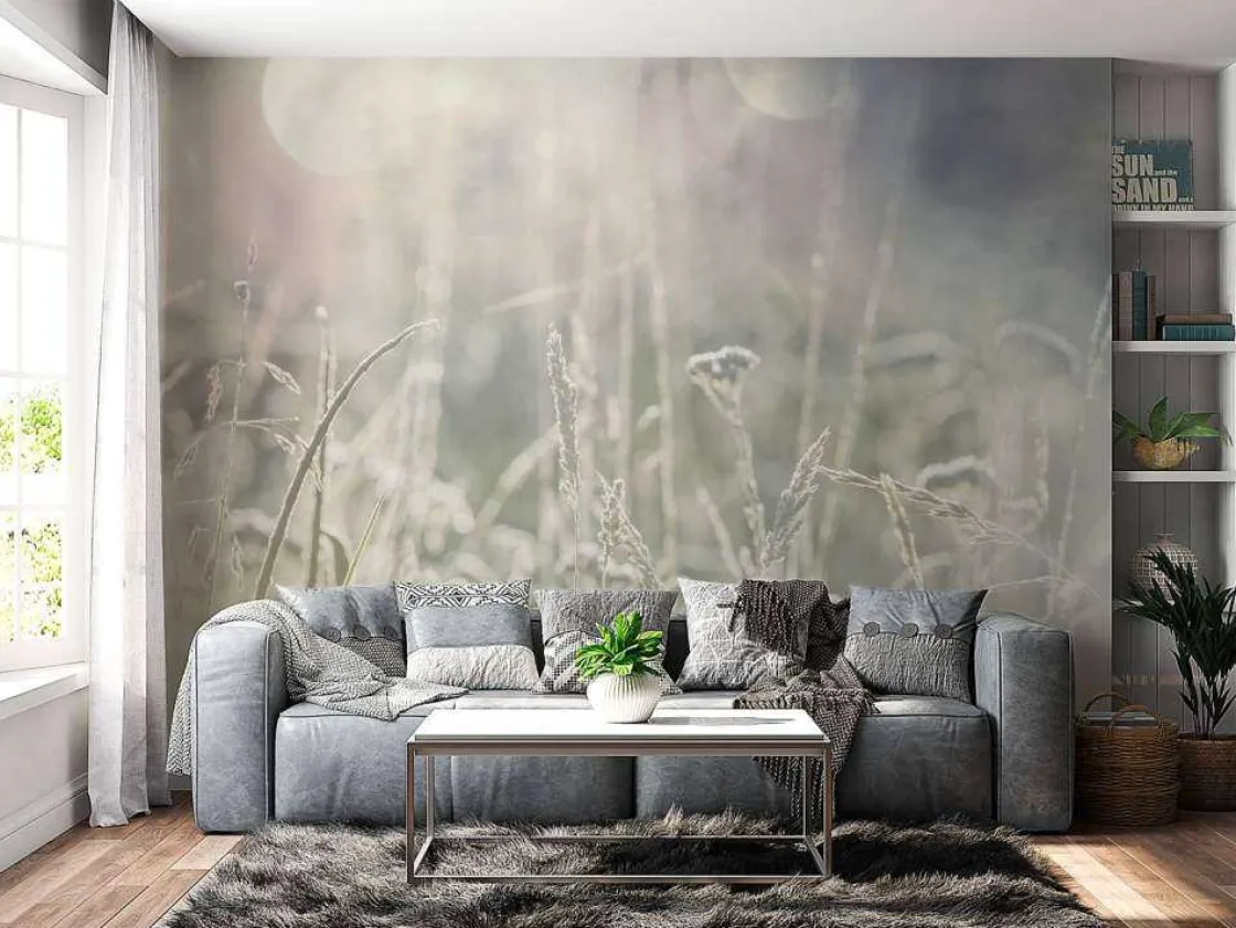 weide_planten_in_de_zon_m_2.webp Clearance Weide planten in de zon met een wazige achtergrond fotobehang Slaapkamer | Bloemen