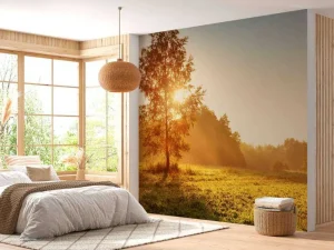 Outlet Weiland bij zonsopkomst fotobehang Bloemen