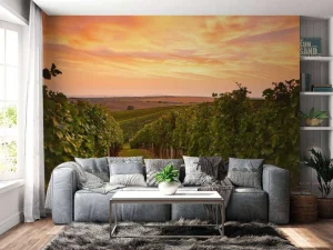Fashion Wijngaard bij zonsondergang fotobehang Bloemen
