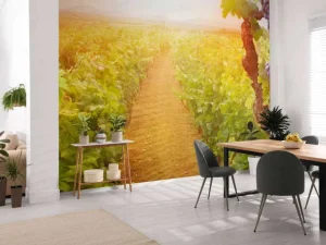 Best Wijngaard met druiven op de voorgrond fotobehang Bloemen