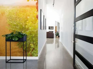 Best Wijngaard met druiven op de voorgrond fotobehang Bloemen
