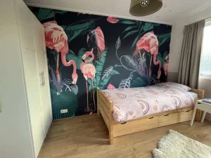 Online Wilde roze flamingo's Dieren