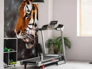 Clearance Wilde Tijger op zoek naar prooi fotobehang Dieren